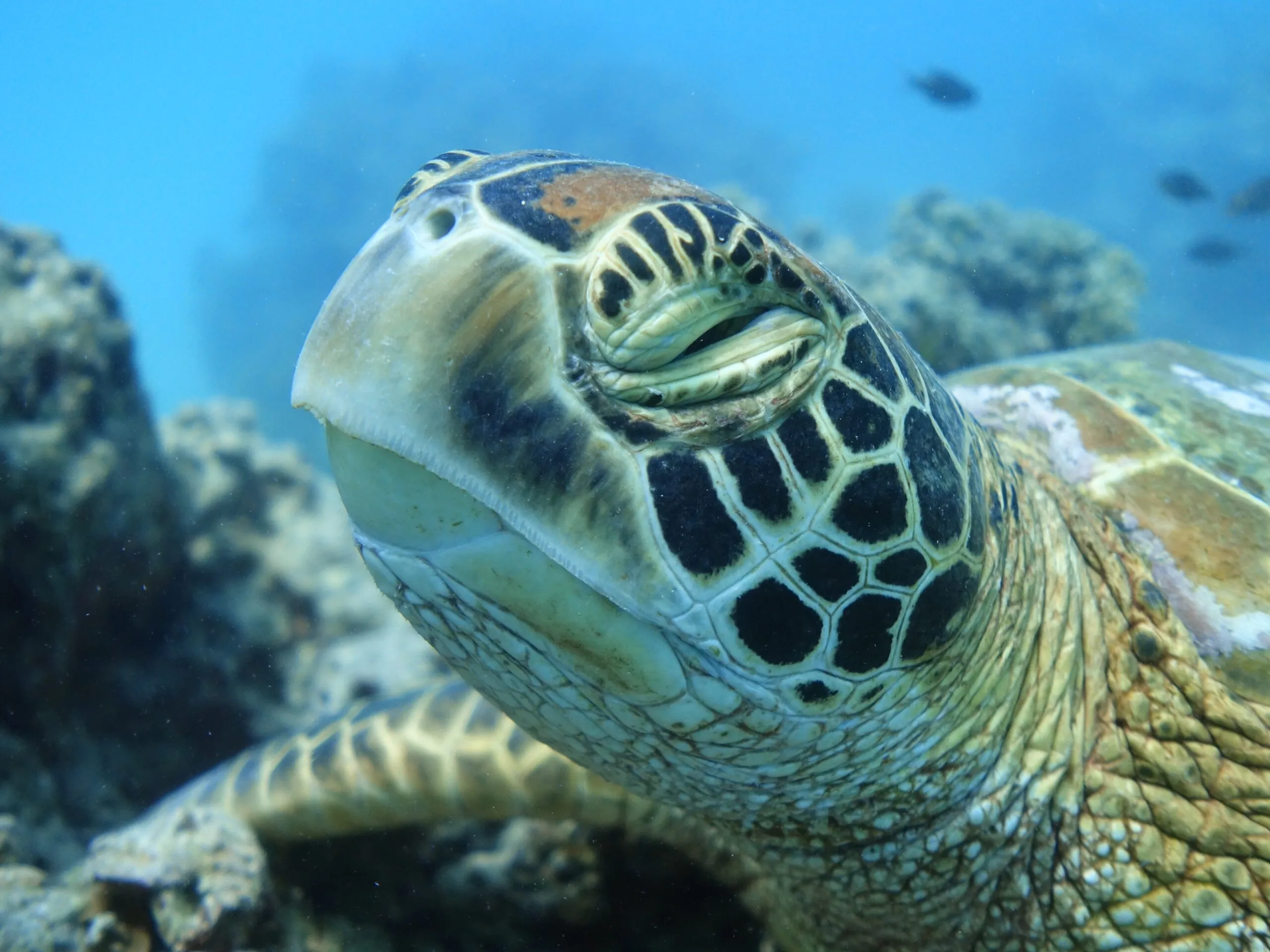 DSC00092-copie-2-scaled.jpg