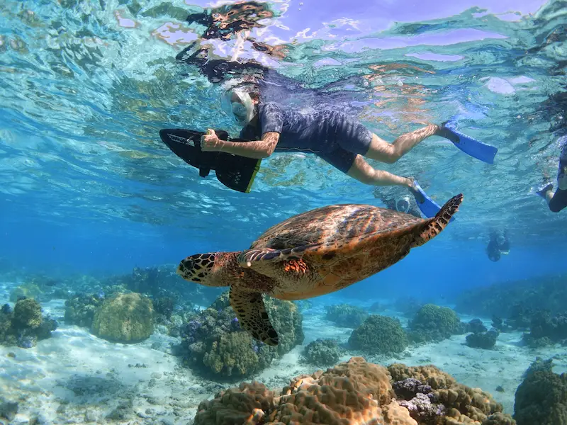 best-snorkeling-moorea-underwater-scooter-tour