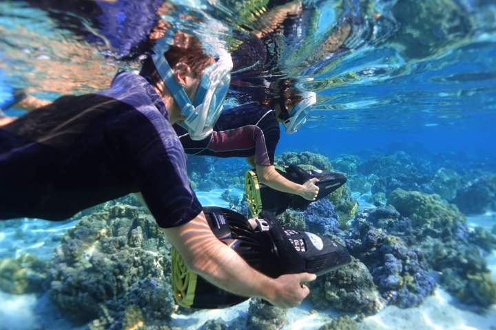 Sea Scooter Jet Snorkeling 