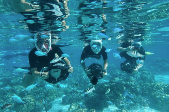 a group of people swimming in a body of water