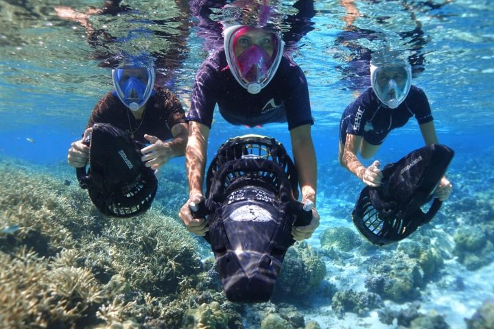 a group of people swimming in a body of water