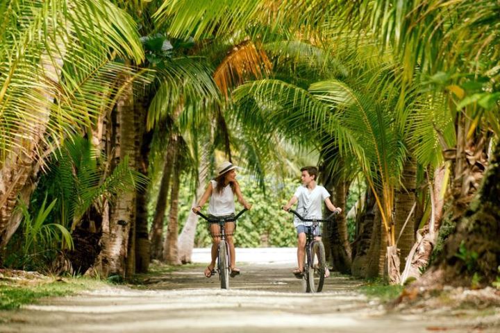 a group of people walking down a street next to a palm tree