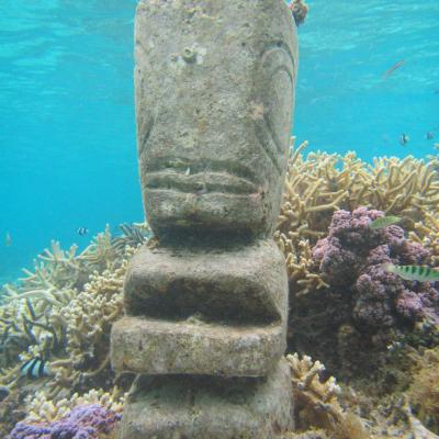 underwater view of a large rock