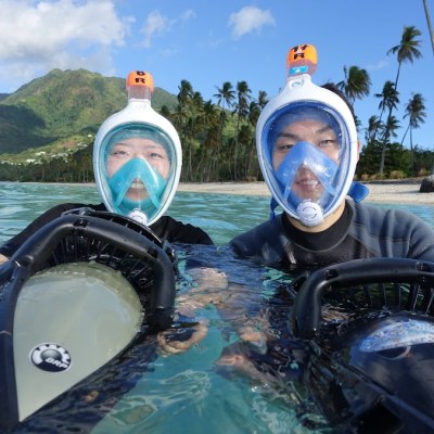 a dog swimming in a body of water