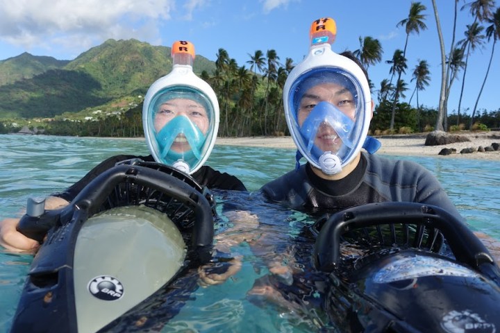 a dog swimming in a body of water