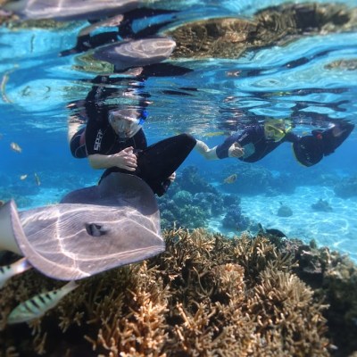 a group of people swimming in a pool of water