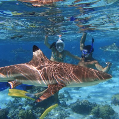 people swimming in a pool of water