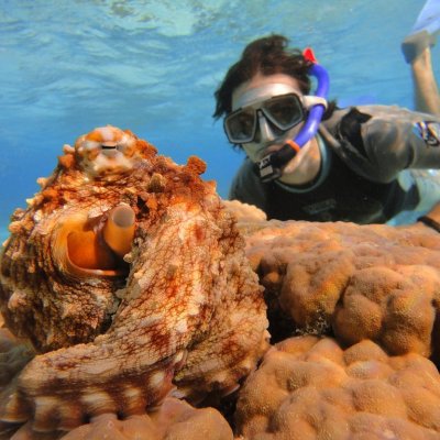 a person swimming in the water