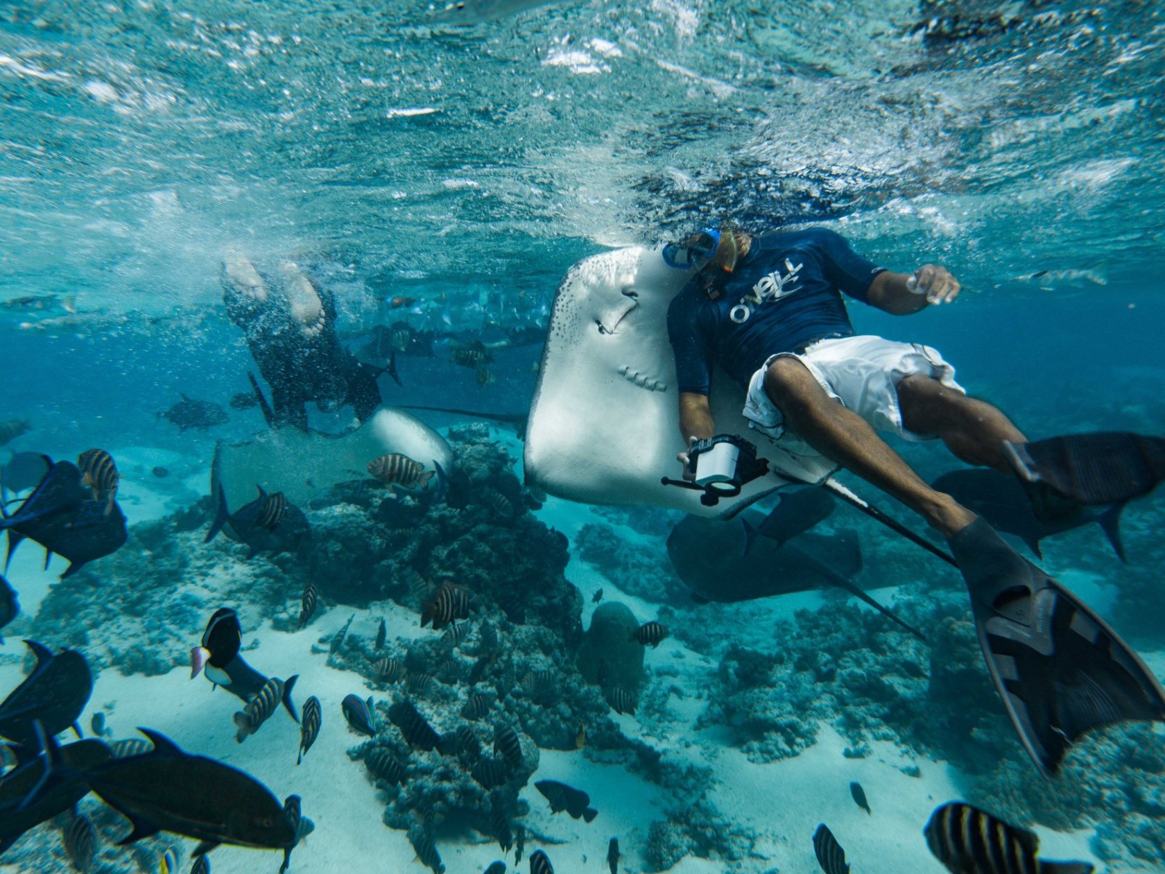 a group of people swimming in a body of water