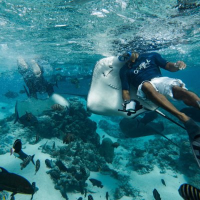 a group of people swimming in a body of water