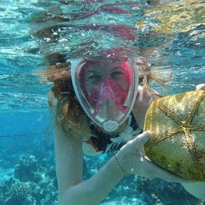 a turtle swimming under water